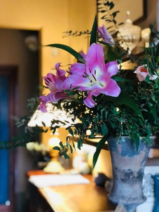 Casa Cambini Bed & Breakfast Marina di Massa