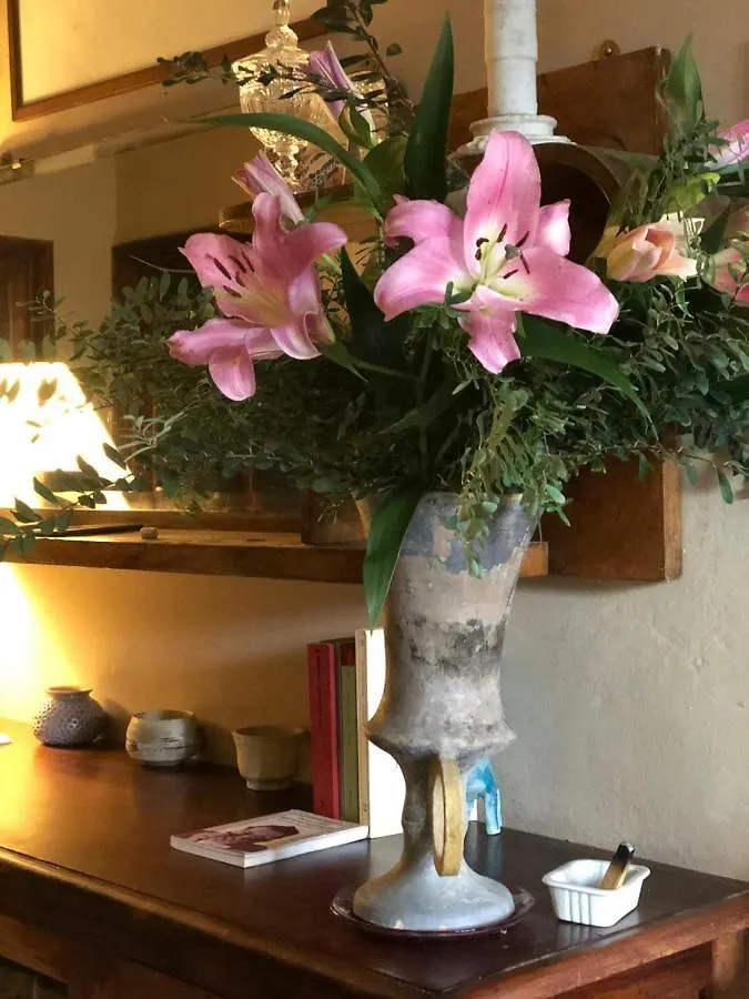 Casa Cambini Bed & Breakfast Marina di Massa Italy