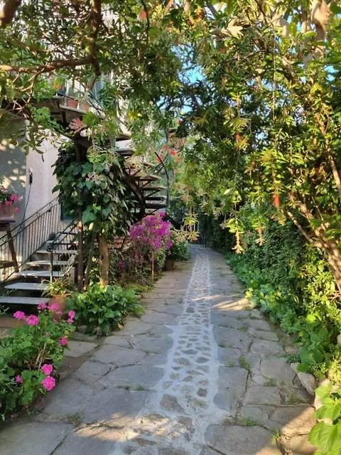 Casa Cambini Bed & Breakfast Marina di Massa