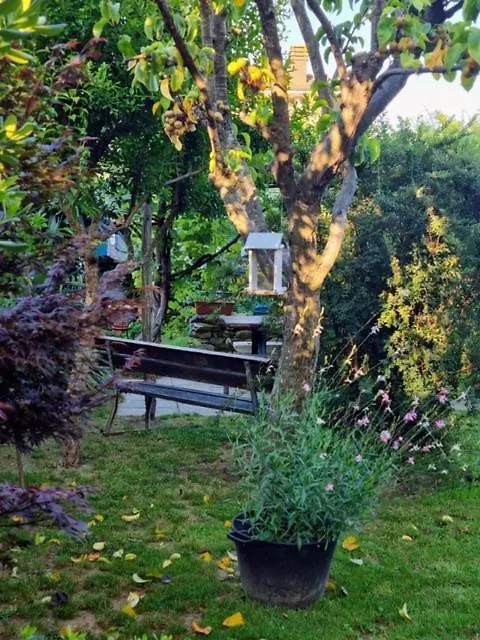 Casa Cambini Bed & Breakfast Marina di Massa